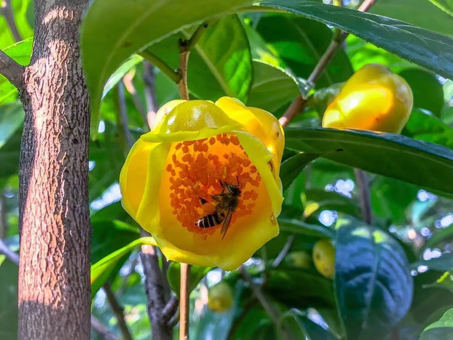 和桂生物